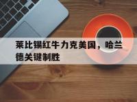 IM竞技-莱比锡红牛力克美国，哈兰德关键制胜的简单介绍