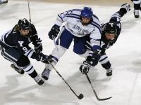 IM电竞官网入口-从尼斯湖畔到世界之巅，哈兰德在美加墨世界杯的血拼征途