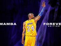 IM电竞官网-戈麦斯一锤定音！皇家社会爆冷卡塔尔，关键时刻的孤胆英雄