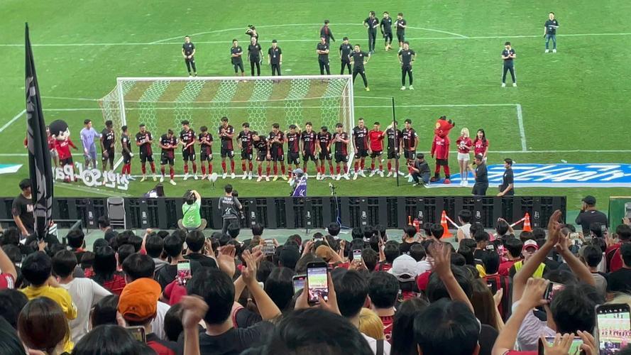 首尔队主场不敌对手，遭遇失利的简单介绍