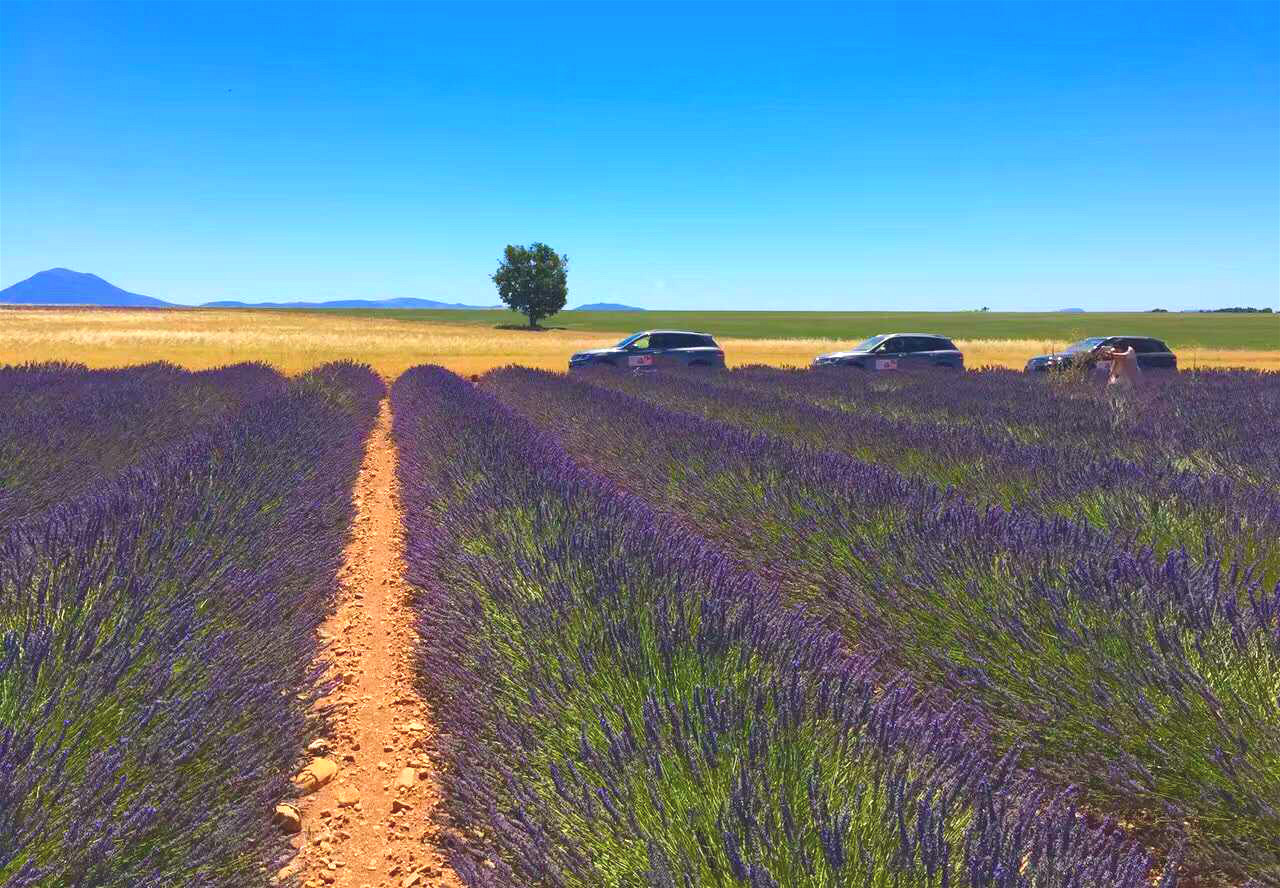 法国夺冠热情高涨，掀起热潮！的简单介绍